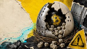 cracked-bitcoin-seed-dice-egg-collage.jpg