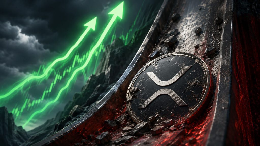 xrp-support-signal.jpg